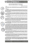 Vista preliminar de documento RGM-117-2025-GM-MPLC