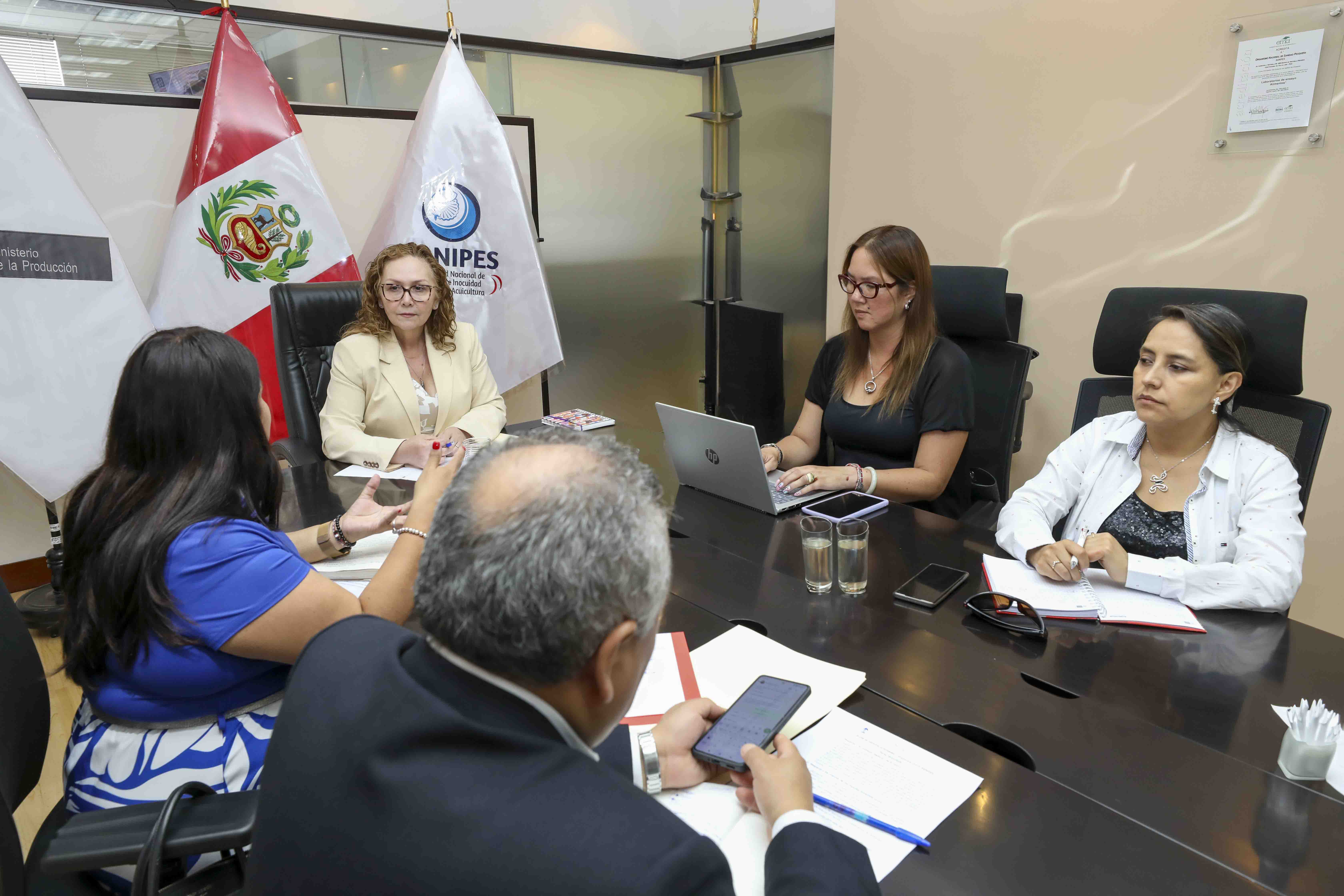 Sanipes y Mincetur sostienen reunión para definir aspectos para actualizar trámites administrativos a través de la VUCE