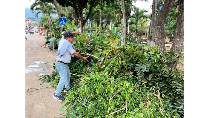 Trabajos de limpieza, desmalezado y poda en la plazuela "Cabo Alberto Leveau" barrio Suchiche - Tarapoto.