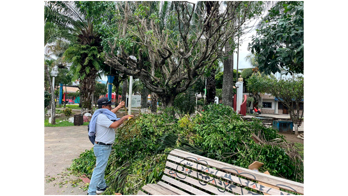 Trabajos de limpieza, desmalezado y poda en la plazuela "Cabo Alberto Leveau" barrio Suchiche - Tarapoto.