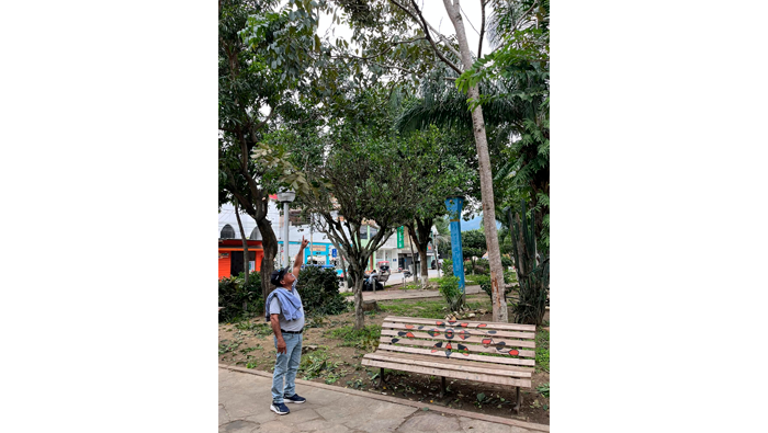 Trabajos de limpieza, desmalezado y poda en la plazuela "Cabo Alberto Leveau" barrio Suchiche - Tarapoto.