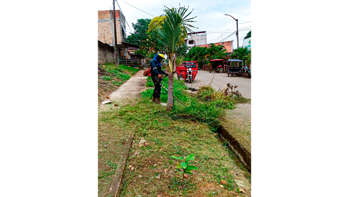 Mantenimiento de Γ‘reas verdes en diferentes puntos de la ciudad de Tarapoto.