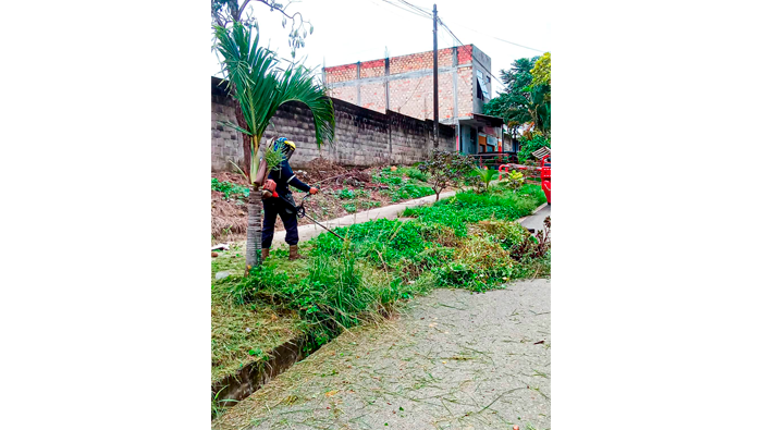 Mantenimiento de Γ‘reas verdes en diferentes puntos de la ciudad de Tarapoto.