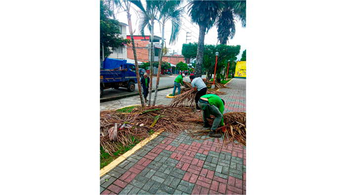 Mantenimiento de Γ‘reas verdes en diferentes puntos de la ciudad de Tarapoto.