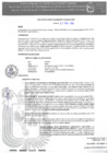 Vista preliminar de documento R_OS_062-2025