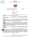 Vista preliminar de documento Resolucion Directoral N° 000909-2025