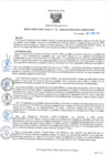 Vista preliminar de documento RD38