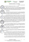 Vista preliminar de documento ORDENANZA MUNICIPAL Nº002-2025-MDL
