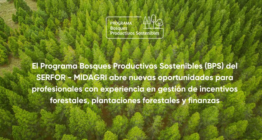 Oportunidades forestales