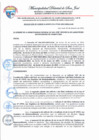 Vista preliminar de documento Resolución de Gerencial Municipal N.° 030-2025-MDSJ-GM