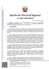 Vista preliminar de documento RDR 0321-2025-DRELM