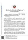 Vista preliminar de documento RDR 0322-2025-DRELM