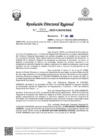 Vista preliminar de documento RDR Nº 0308-2025-GRSM-DRE