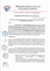 Vista preliminar de documento Resolución de Gerencial Municipal N.° 25-2025-MDSJ-GM