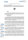 Vista preliminar de documento R.J N D000038-2025-MIDAGRI-SENASA-JN