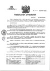 Vista preliminar de documento RD N°041-2025