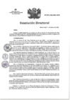 Vista preliminar de documento RD N°042-2025