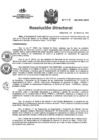 Vista preliminar de documento RD N°045-2025