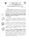Vista preliminar de documento RMG-045-2025-MPJ-GM