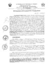 Vista preliminar de documento RMG-047-2025-MPJ-GM