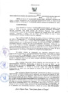 Vista preliminar de documento ORA. 060