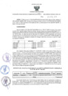 Vista preliminar de documento ORA. 061