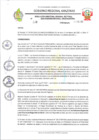 Vista preliminar de documento RESOLUCION N 100