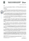 Vista preliminar de documento RESOLUCION N°009-2025-SGDT-GDTI-MDP-T