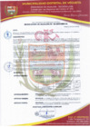 Vista preliminar de documento RESOLUCION DE ALCALDIA N° 029-2025-MDV