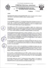 Vista preliminar de documento RESOLUCION N 105