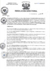 Vista preliminar de documento R.D N° 041-2025-HMA-DG