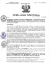 Vista preliminar de documento R.D N° 042-2025-HMA-DG