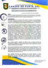 Vista preliminar de documento RESOLUCION DE ALCALDIA N° 336-10-2024-MDCPS-ALC