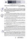 Vista preliminar de documento RGM 024 2025