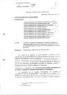 Vista preliminar de documento REGISTRO DE AGENTES PARTICIPANTES