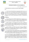 Vista preliminar de documento 0001  ORDENANZA DE CREACION DE LA INSTANCIA DE ARTICULACION LOCAL