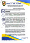 Vista preliminar de documento RESOLUCION DE ALCALDIA N° 327-10-2024-MDCPS-ALC