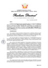 Vista preliminar de documento RD017-2025