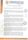 Vista preliminar de documento RESOLUCIÓN DE ALCALDÍA N° 021-2025-MDBI/A