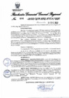 Vista preliminar de documento Resolución Gerencial General Regional