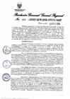 Vista preliminar de documento Resolución Gerencial General Regional