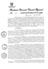 Vista preliminar de documento Resolución Gerencial General Regional