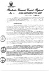 Vista preliminar de documento Resolución Gerencial General Regional