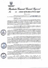 Vista preliminar de documento Resolución Gerencial General Regional