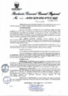 Vista preliminar de documento Resolución Gerencial General Regional