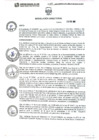 Vista preliminar de documento R.D. N° 031-2025-DIRESA-L-U.E.SBS-CY-DE-OSAI-AO-OPP