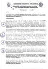 Vista preliminar de documento RESOLUCION N 115