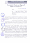 Vista preliminar de documento RDR 065-2025