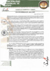 Vista preliminar de documento Resolucion Gerencial 067-2025 GTT-MPS