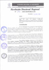 Vista preliminar de documento RDR 070-2025